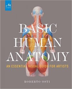Basic Human Anatomy: An Essential Visual Guide for Artists book free pdf