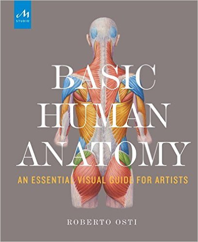 Cover of Basic Human Anatomy: An Essential Visual Guide for Artists book