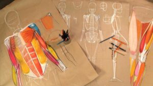 roberto-osti-anatomy-drawing-teacher-bluprint-online-lessons