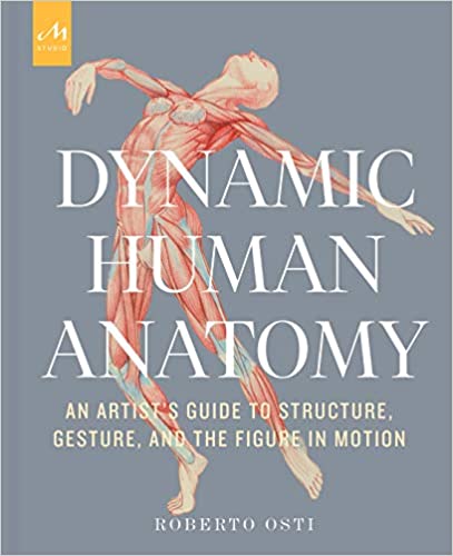 Dynamic Human Anatomy an artists guide to structure, gesture and the figure in motion by Roberto Osti