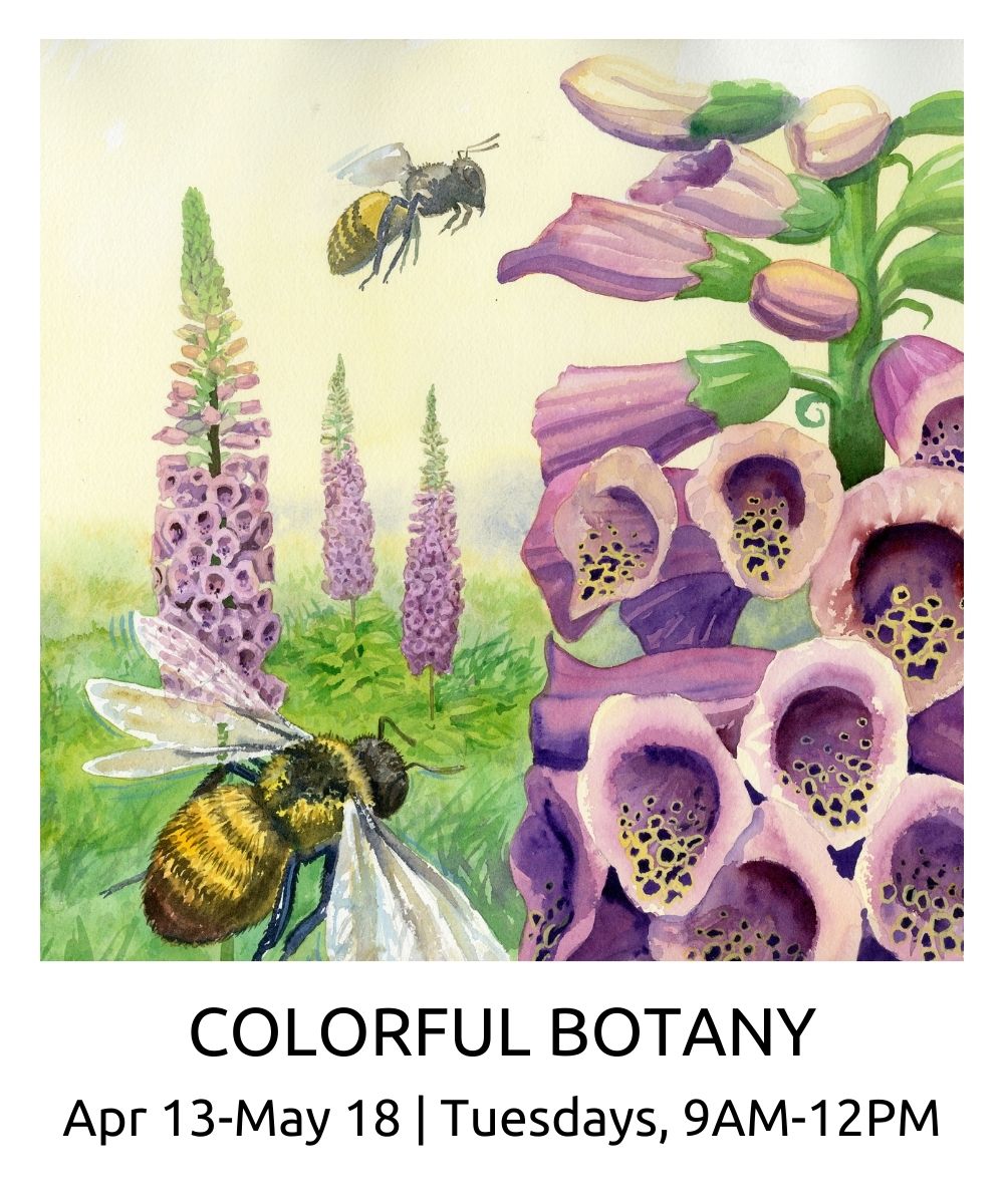 Watercolor Colorful Botany spring 2021 roberto osti new renaissance atelier april 13 May 18