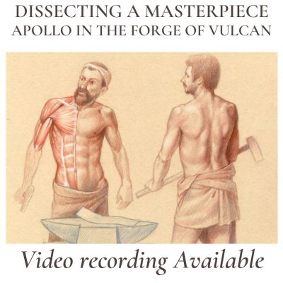 apollo in the forge of vulcan