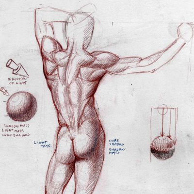 More Drawing foundation a course by Roberto Osti
