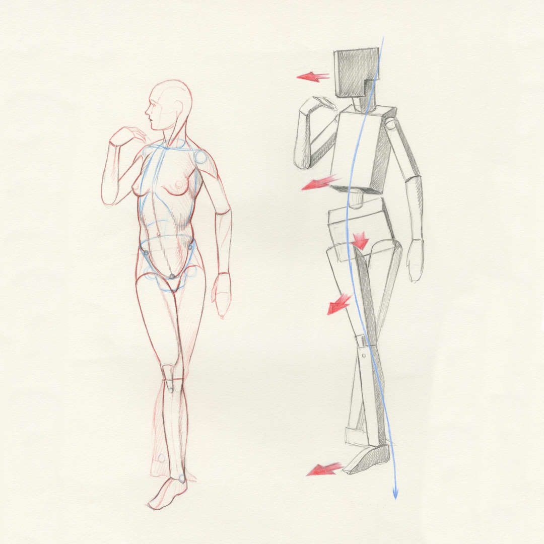 From blocks figures to muscles: a Figure Drawing Foundation course -  Roberto Osti's Web Site