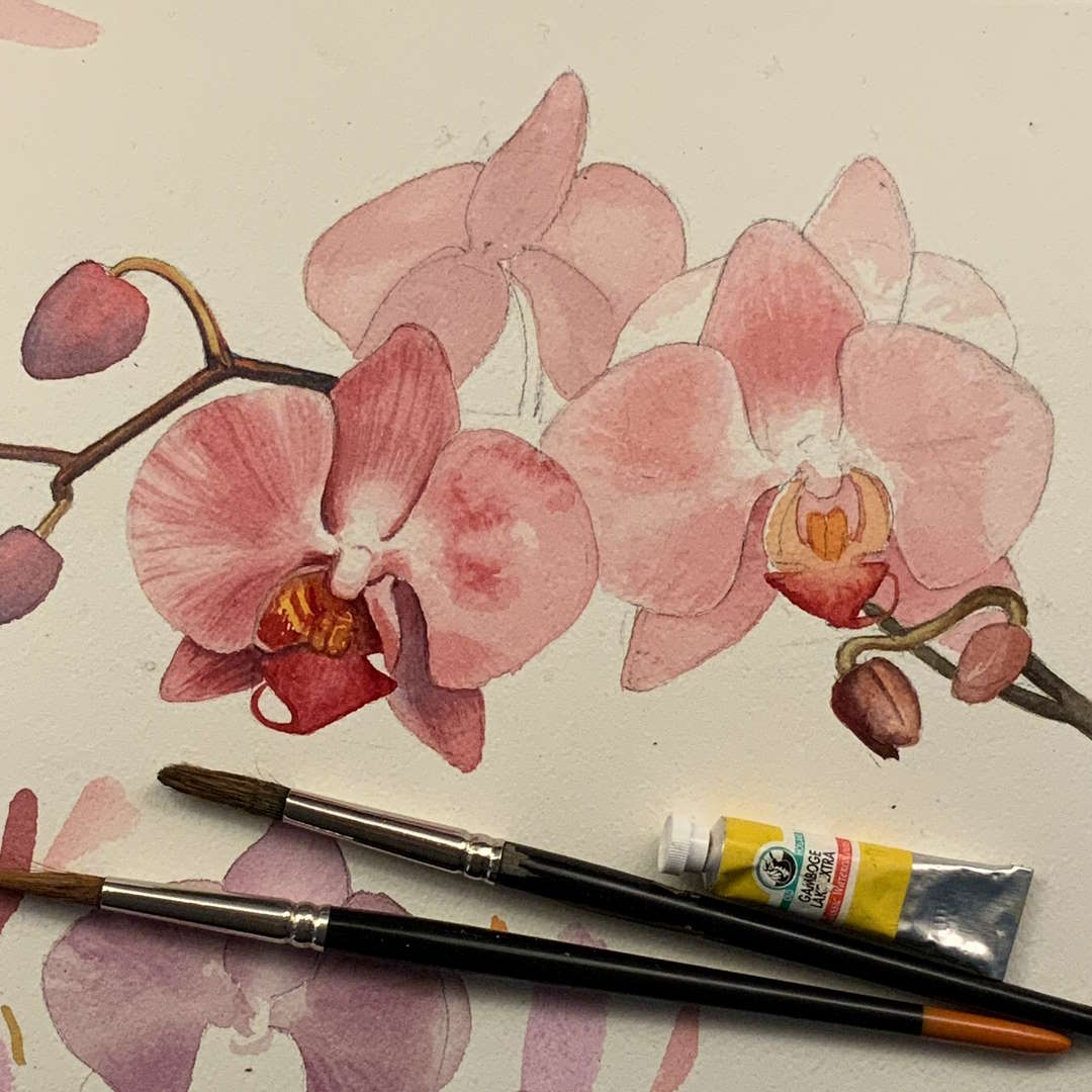 roberto-osti-drawing-watercolor-orchidea-low