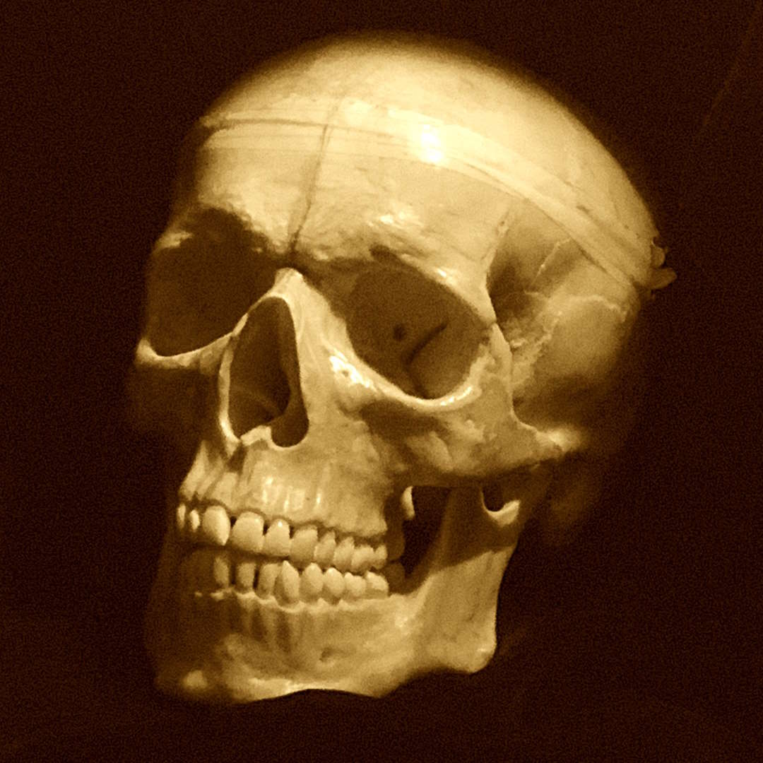 roberto-osti-open-drawing-sessions-40-skull