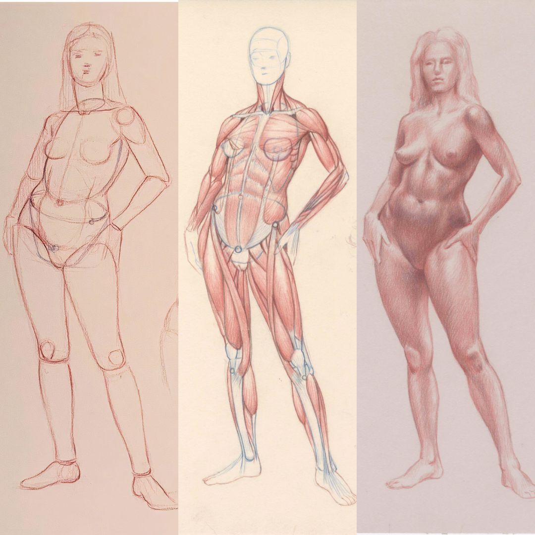 roberto-osti-new-renaissance-atelier-figure-drawing-anatomy-stereometry