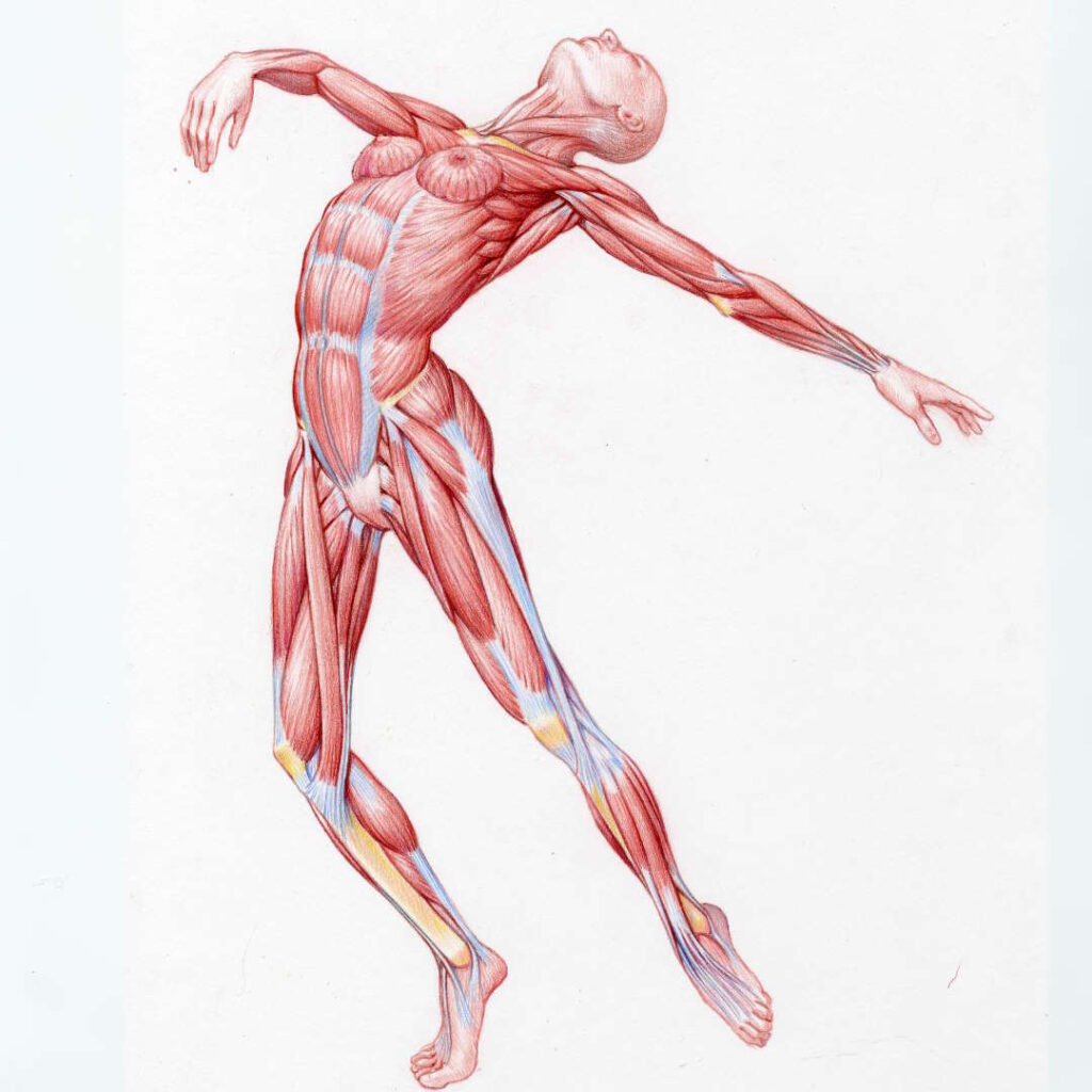 answers to nih stroke scale test a