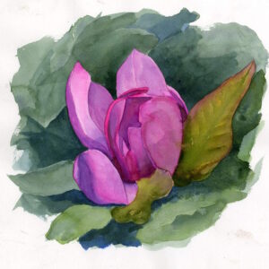 The Fragrance of Spring: