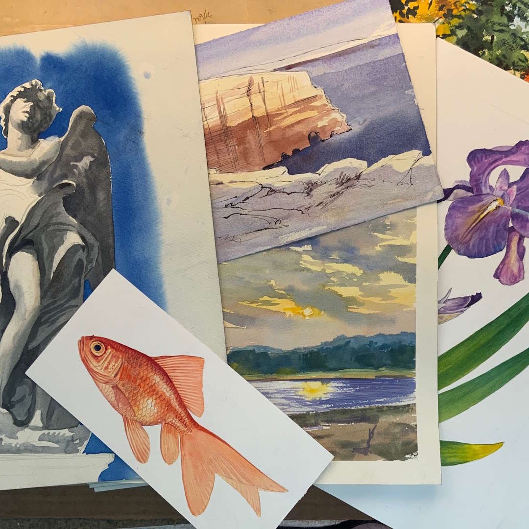 343 Sampler Watercolor Boot Camp-Landscape, Botanical, Urban Views, Animals and Pets. 1080